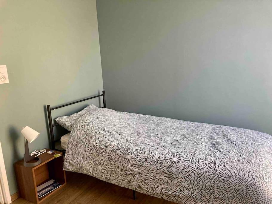Quai Sud - Gare, 100 M2, Parking, Wifi, Superette, Lave Linge Apartment Angers Luaran gambar